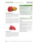 Tabletki na płaski brzuch BIO - PHYSALIS 45 szt.