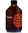 Kombucha z Maliną i Rozmarynem bezglutenowa BIO - VIGO 330 ml