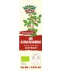 ASHWAGANDHA ekstrakt w kroplach BIO - ROYAL BRAND 50 ml
