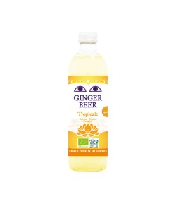 Piwo Imbirowe o smaku Tropikalnym bezalkoholowe BIO - Karma 750 ml