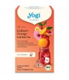 TRUSKAWKA POMARAŃCZA COLD BREW BIO - YOGI TEA® 32 g