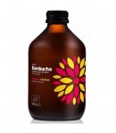 KOMBUCHA Z HIBISKUSEM I CYTRUSAMI BEZGLUTENOWA BIO - VIGO 330 ml