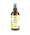 Hydrolat z Oczaru Wirginijskiego - Nature Queen 100 ml