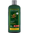 Szampon nadający połysk z olejem arganowym i olejem Inca Inchi - Logona 250 ml