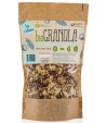Granola Figa z Kokosem bezglutenowa BIO - papagrin 320 g