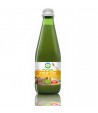 Sok imbirowy NFC BIO - Biofood 300 ml