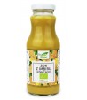 Sok z imbiru NFC BIO - Bio Planet 250 ml